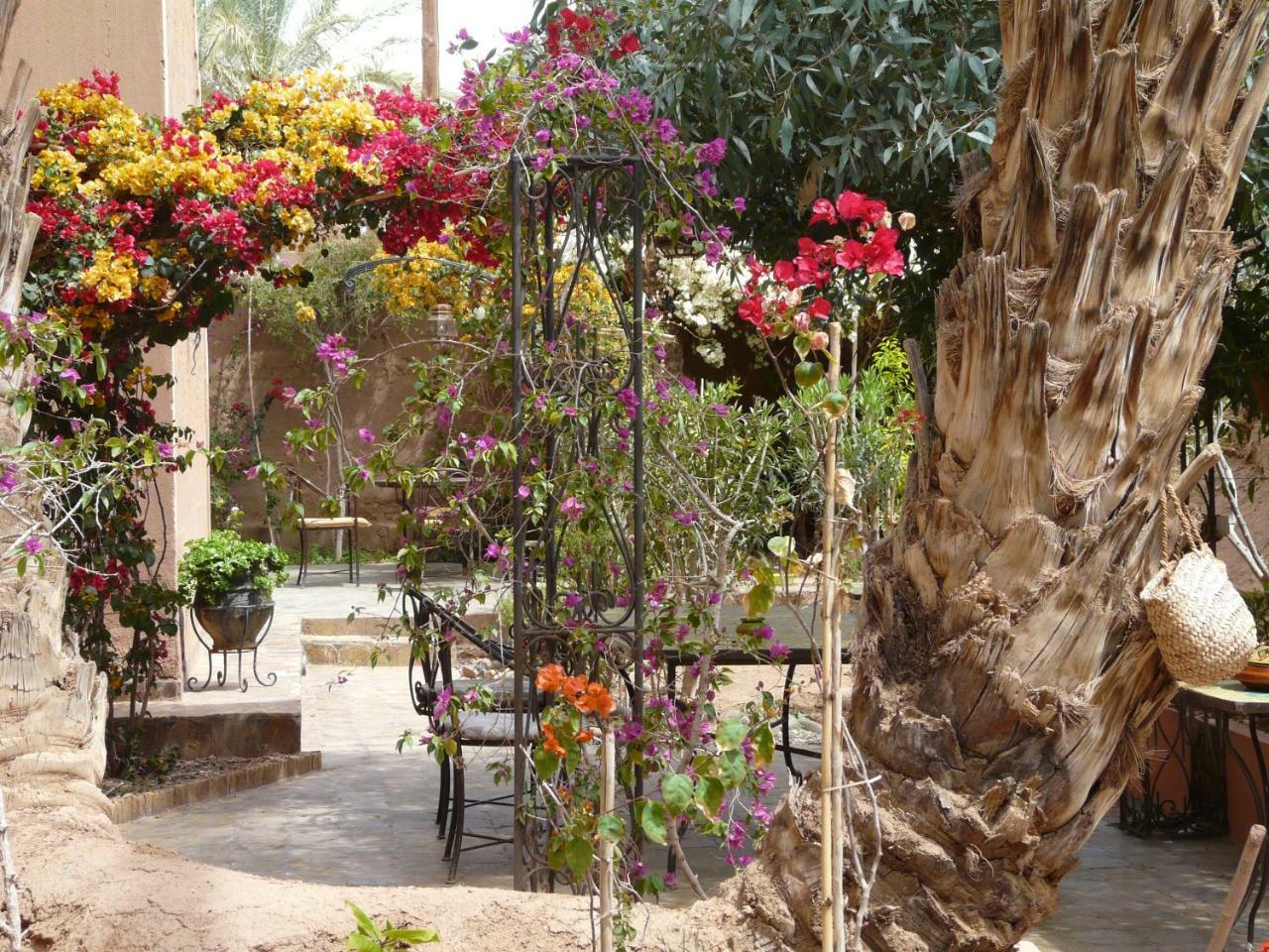 Dar Nakhla - Zagora Guest House ภายนอก รูปภาพ