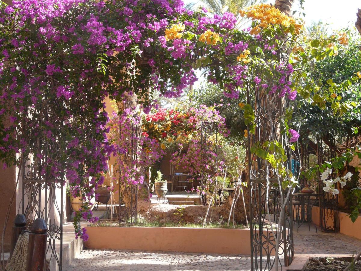 Dar Nakhla - Zagora Guest House ภายนอก รูปภาพ